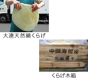 くらげ